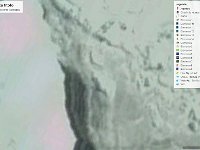 ancora vita